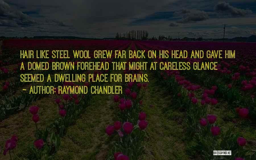 Glance Back Quotes By Raymond Chandler