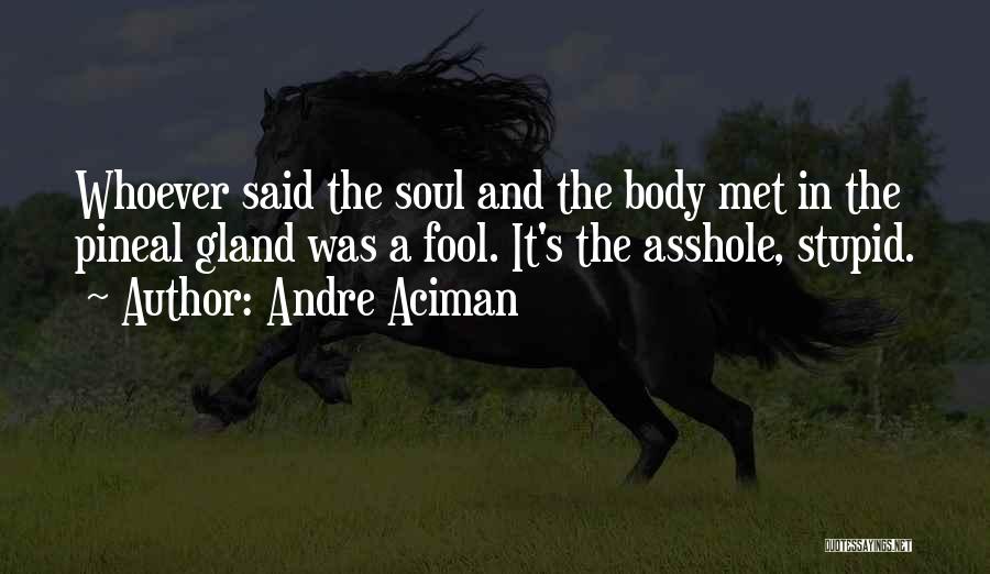 Gland Quotes By Andre Aciman