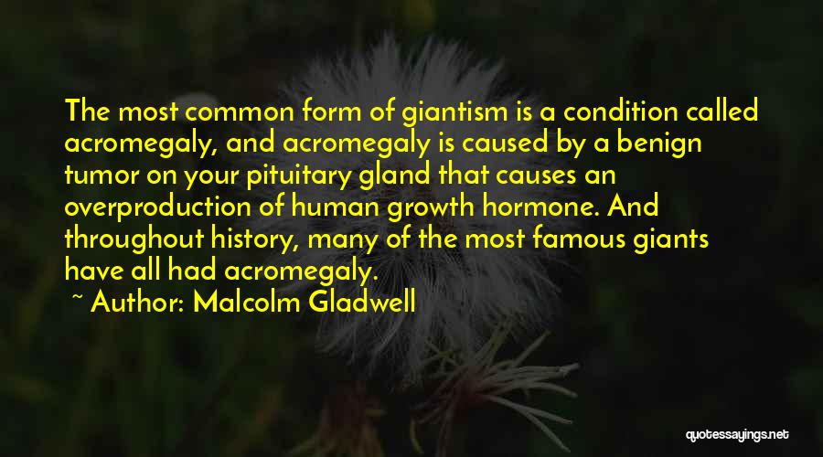 Gland Quotes By Malcolm Gladwell