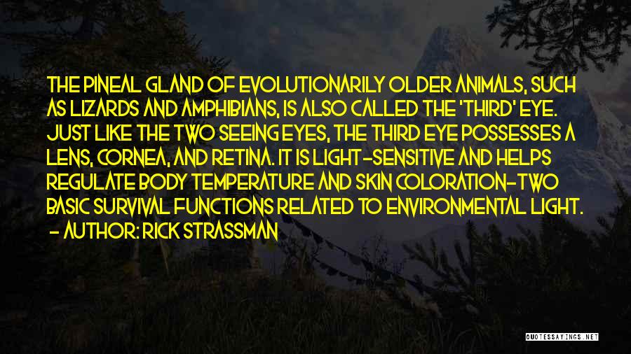Gland Quotes By Rick Strassman