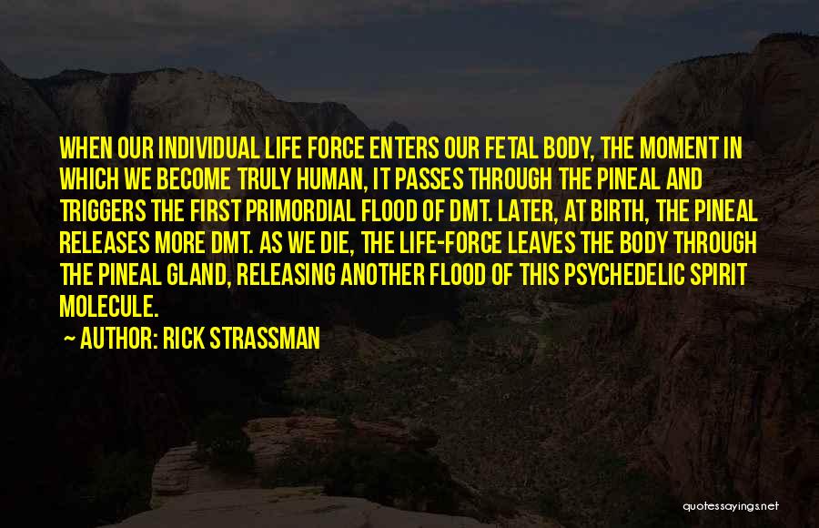 Gland Quotes By Rick Strassman