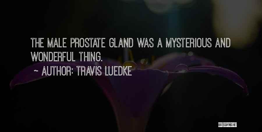 Gland Quotes By Travis Luedke