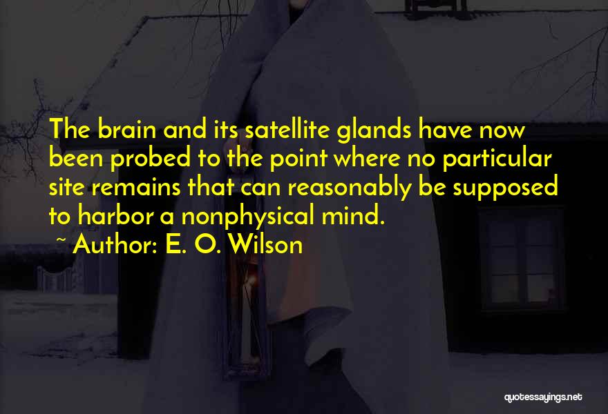 Glands Quotes By E. O. Wilson