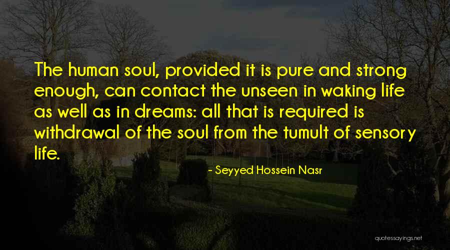 Glandula Pituitaria Quotes By Seyyed Hossein Nasr Glandula Pituitaria Quotes By Seyyed Hossein Nasr