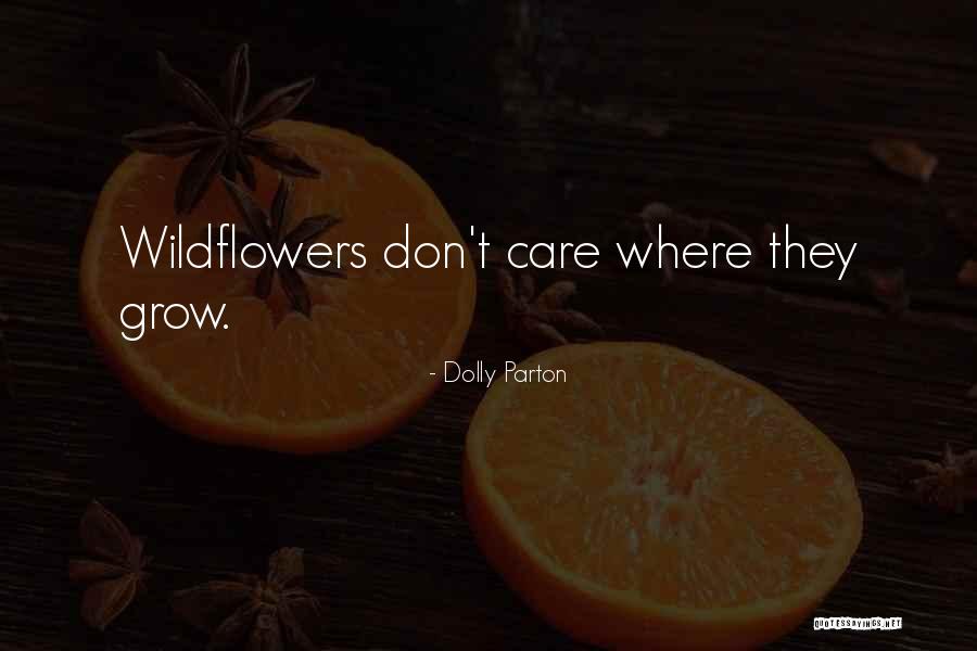 Glandyfi Quotes By Dolly Parton