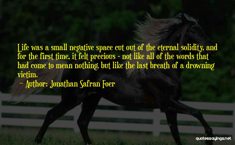 Glasner Simplice Quotes By Jonathan Safran Foer