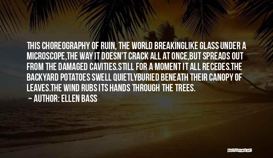 Glass Breaking Quotes By Ellen Bass