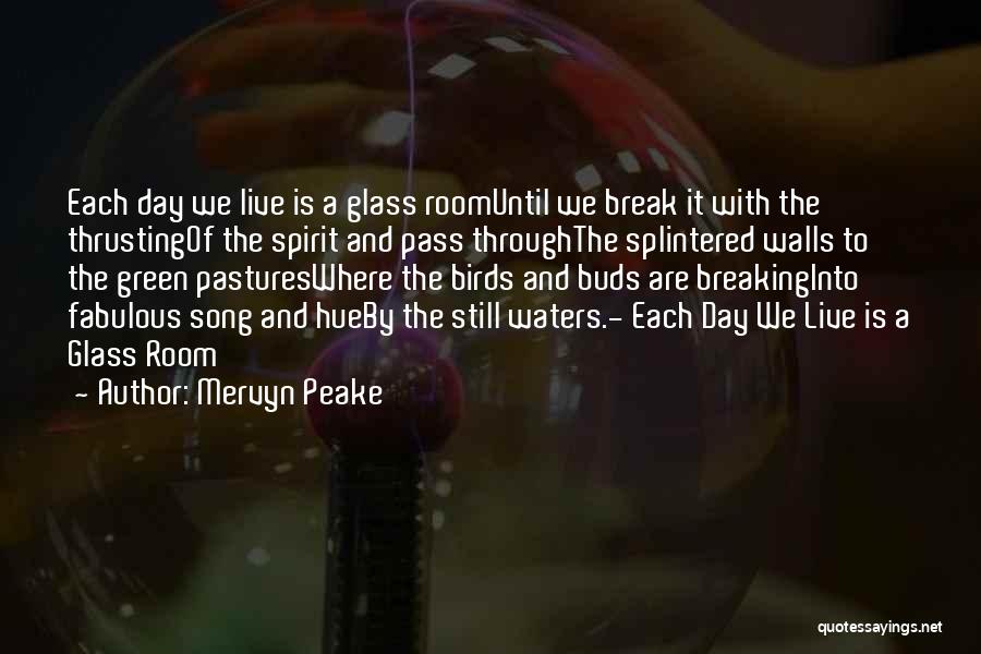 Glass Breaking Quotes By Mervyn Peake