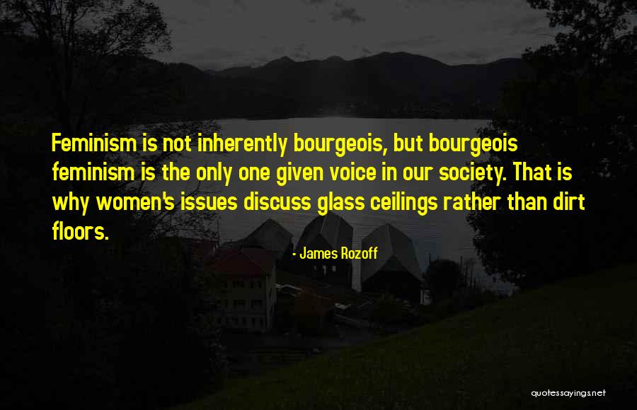 Glass Ceilings Quotes By James Rozoff Glass Ceilings Quotes By James Rozoff