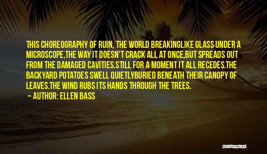 Glass Crack Quotes By Ellen Bass