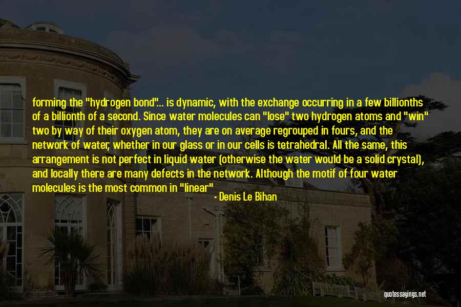 Glass Of Water Quotes By Denis Le Bihan