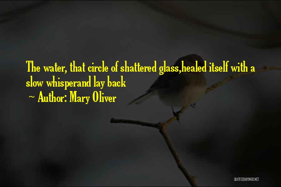 Glass Of Water Quotes By Mary Oliver