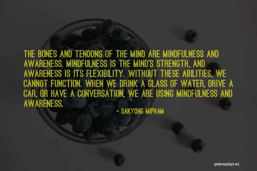 Glass Of Water Quotes By Sakyong Mipham