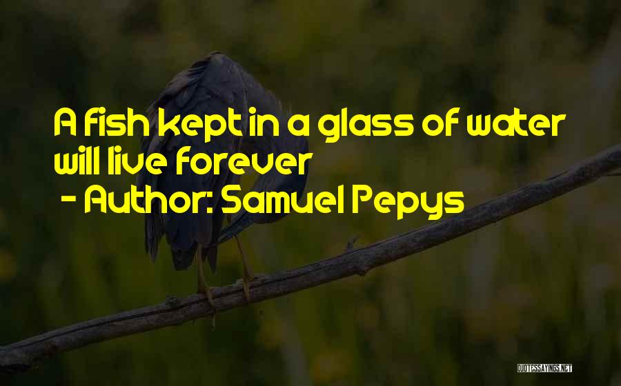 Glass Of Water Quotes By Samuel Pepys