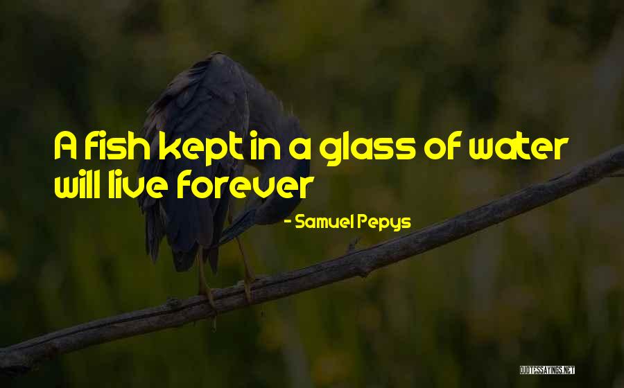 Glass Of Water Quotes By Samuel Pepys