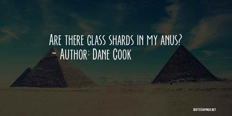 Glass Shards Quotes By Dane Cook