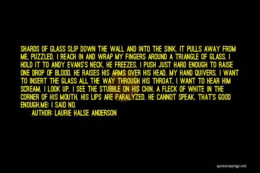 Glass Shards Quotes By Laurie Halse Anderson