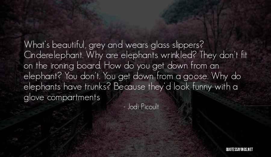 Glass Slippers Quotes By Jodi Picoult Glass Slippers Quotes By Jodi Picoult
