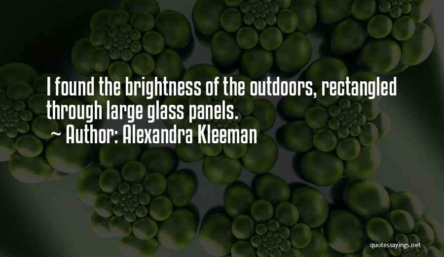 Glass Windows Quotes By Alexandra Kleeman