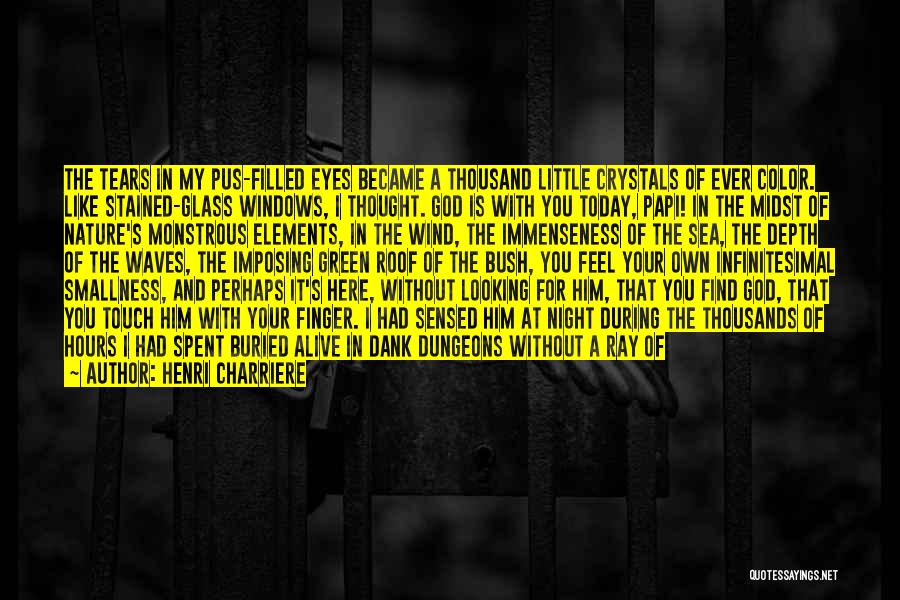 Glass Windows Quotes By Henri Charriere