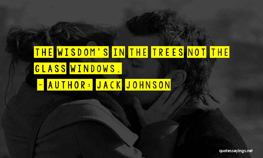 Glass Windows Quotes By Jack Johnson