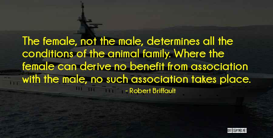 Glassell Dental Quotes By Robert Briffault Glassell Dental Quotes By Robert Briffault