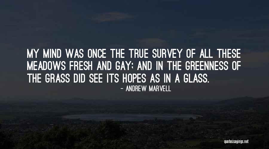 Glasses Quotes By Andrew Marvell