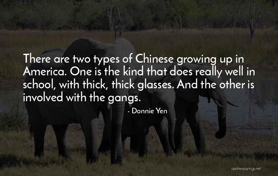 Glasses Quotes By Donnie Yen