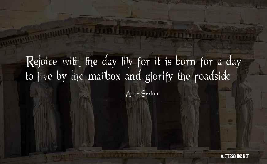 Glastetter Born Quotes By Anne Sexton Glastetter Born Quotes By Anne Sexton