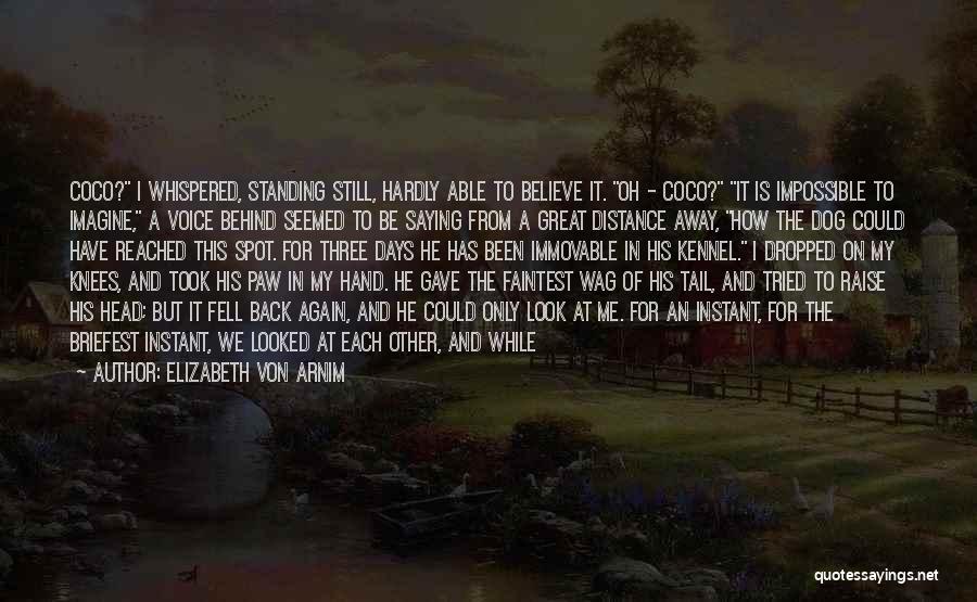 Glazed Quotes By Elizabeth Von Arnim