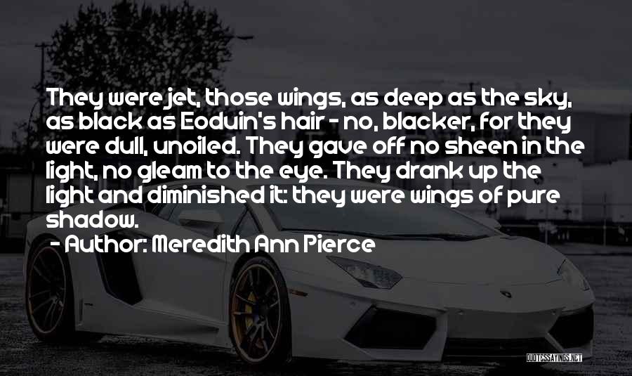 Gleam Quotes By Meredith Ann Pierce