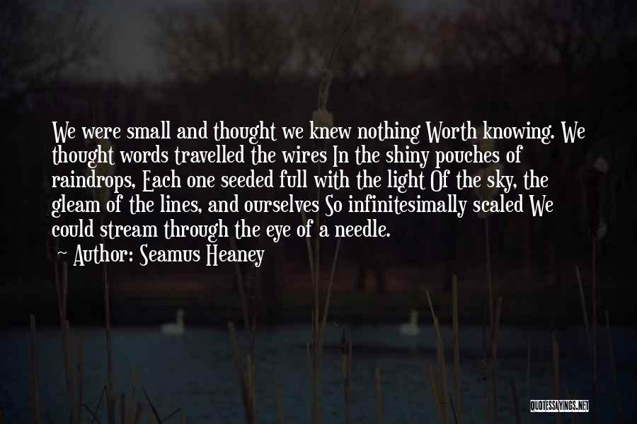 Gleam Quotes By Seamus Heaney