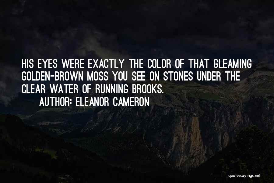 Gleaming Eyes Quotes By Eleanor Cameron
