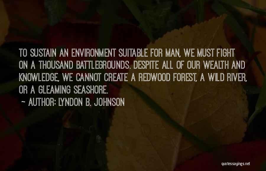Gleaming Quotes By Lyndon B. Johnson