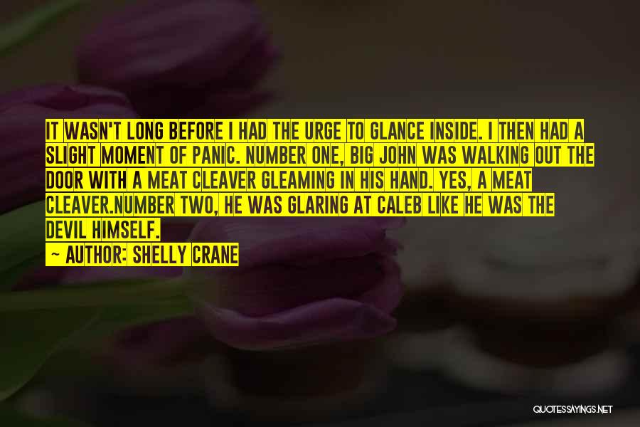 Gleaming Quotes By Shelly Crane