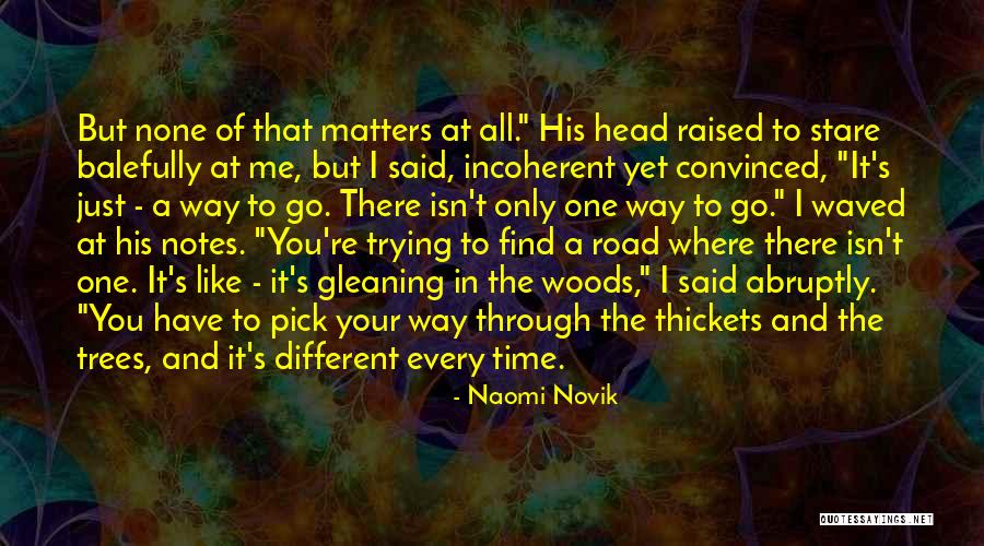 Gleaning Quotes By Naomi Novik