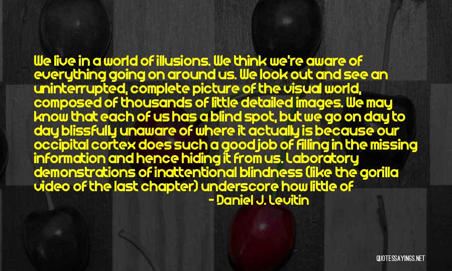Gleek The Monkey Quotes By Daniel J. Levitin Gleek The Monkey Quotes By Daniel J. Levitin