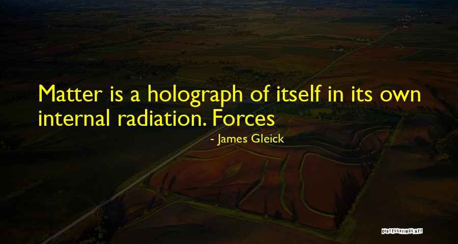 Gleick Quotes By James Gleick