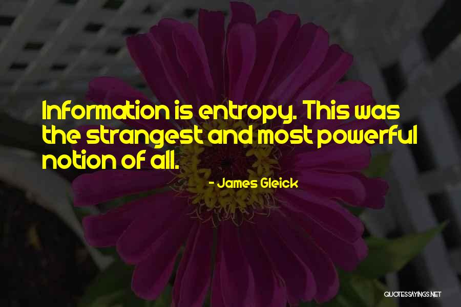 Gleick Quotes By James Gleick