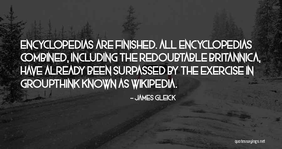 Gleick Quotes By James Gleick