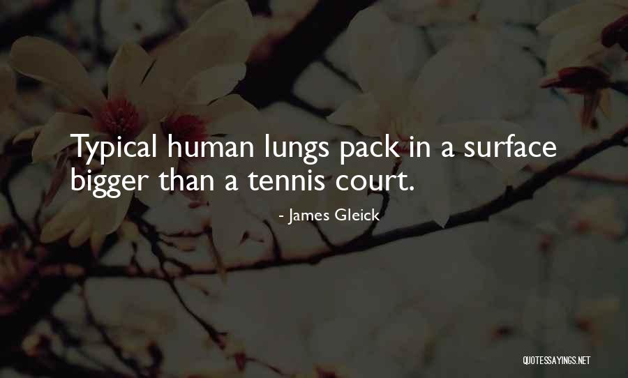 Gleick Quotes By James Gleick Gleick Quotes By James Gleick