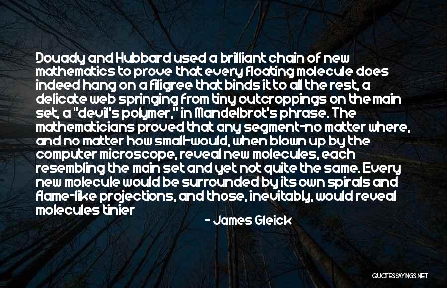 Gleick Quotes By James Gleick