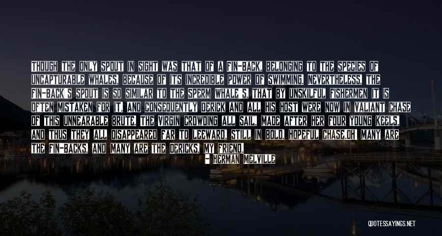 Gleissner Obituary Quotes By Herman Melville Gleissner Obituary Quotes By Herman Melville