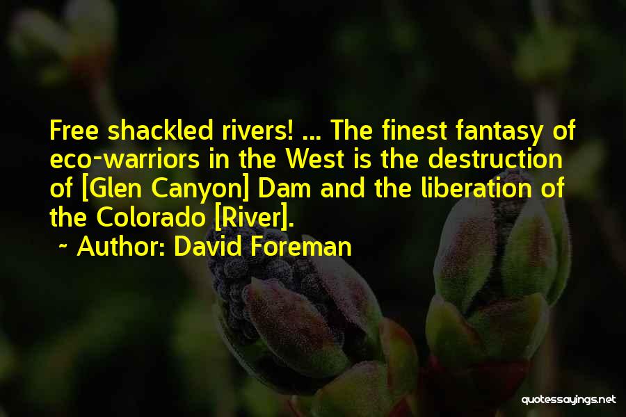 Glen Canyon Dam Quotes By David Foreman