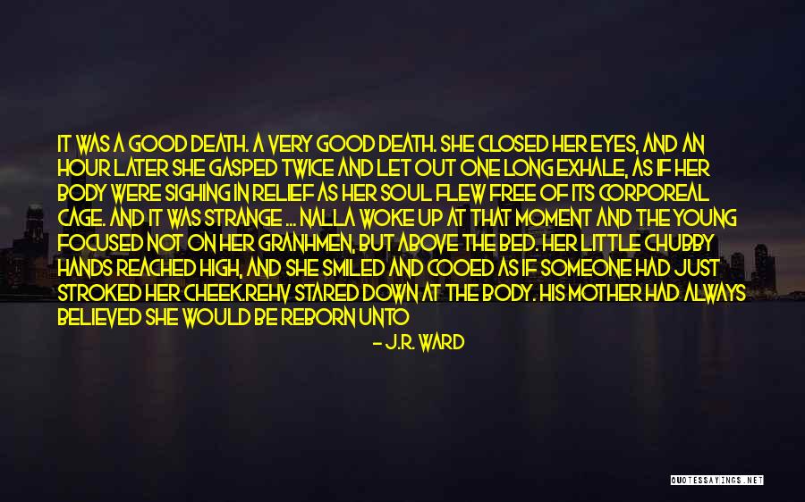 Glenda Doyle Melton Quotes By J.R. Ward Glenda Doyle Melton Quotes By J.R. Ward
