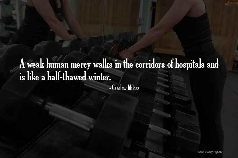 Gleneagles Country Quotes By Czeslaw Milosz Gleneagles Country Quotes By Czeslaw Milosz