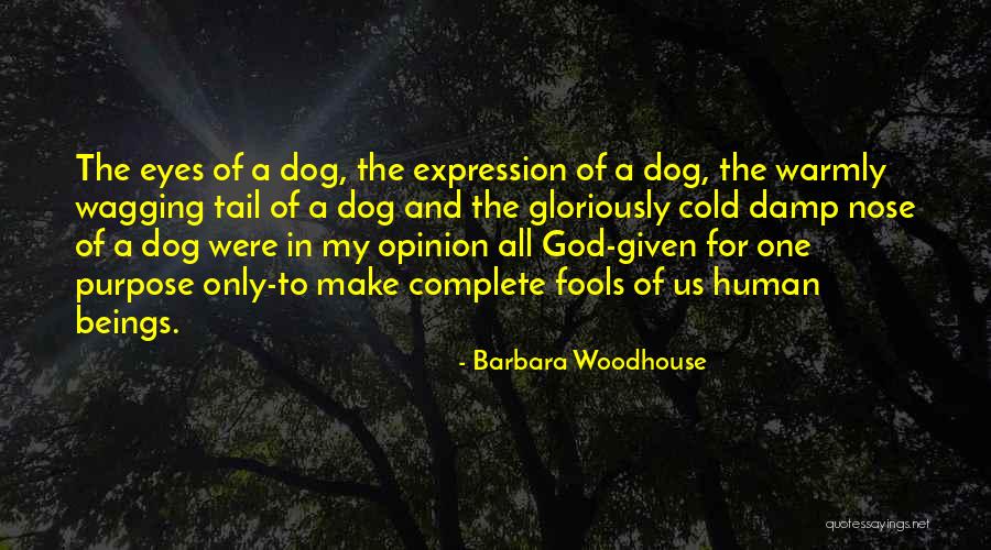 Gleneagles Medical Centre Quotes By Barbara Woodhouse Gleneagles Medical Centre Quotes By Barbara Woodhouse