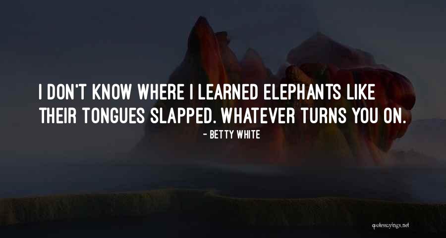 Glennerster Et All Stereoscopic Experiment Quotes By Betty White Glennerster Et All Stereoscopic Experiment Quotes By Betty White