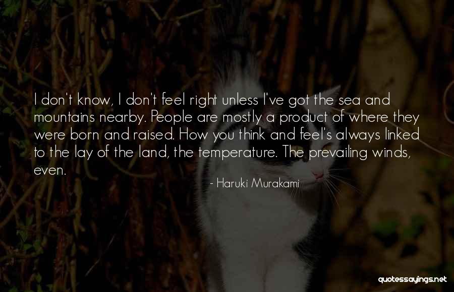 Glennys Cowles Quotes By Haruki Murakami Glennys Cowles Quotes By Haruki Murakami