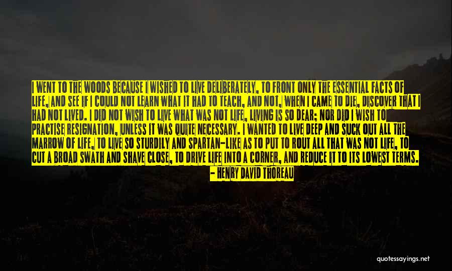 Gli Amori Difficili Quotes By Henry David Thoreau Gli Amori Difficili Quotes By Henry David Thoreau